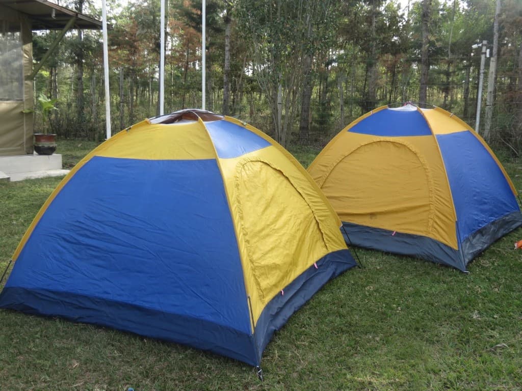 Blue and yellow dome tents pitched on the grassy camp grounds